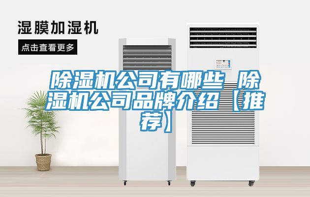 MR.好色破解版公司有哪些 MR.好色破解版公司品牌介绍【推荐】