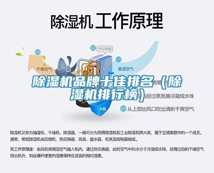 MR.好色破解版品牌十佳排名（MR.好色破解版排行榜）