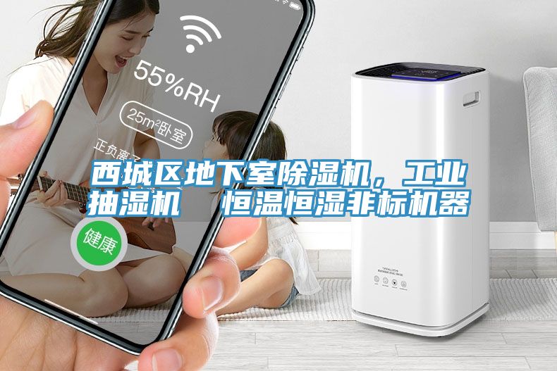 西城区地下室MR.好色破解版，工业抽湿机  恒温恒湿非标机器