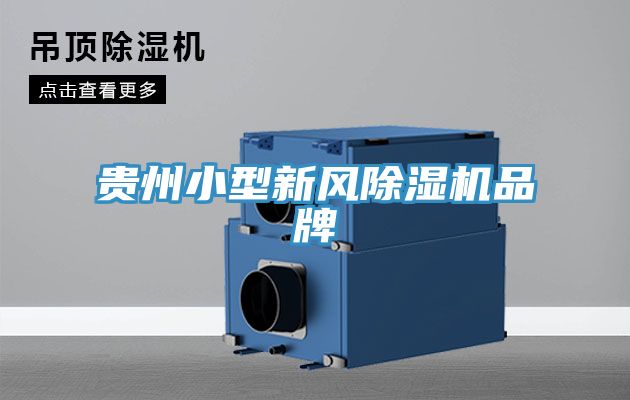 贵州小型新风MR.好色破解版品牌