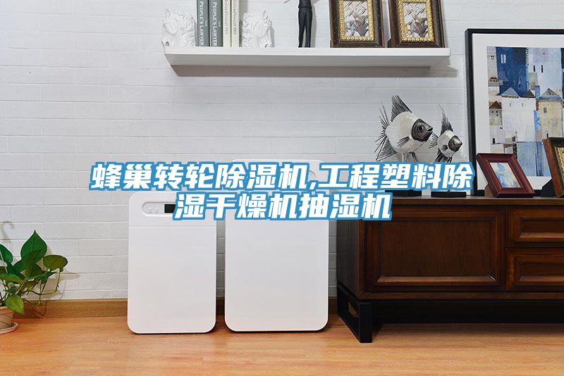 蜂巢转轮MR.好色破解版,工程塑料除湿干燥机抽湿机
