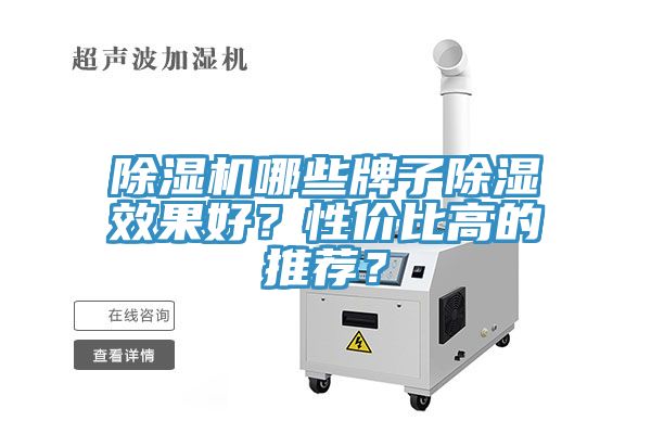 MR.好色破解版哪些牌子除湿效果好？性价比高的推荐？