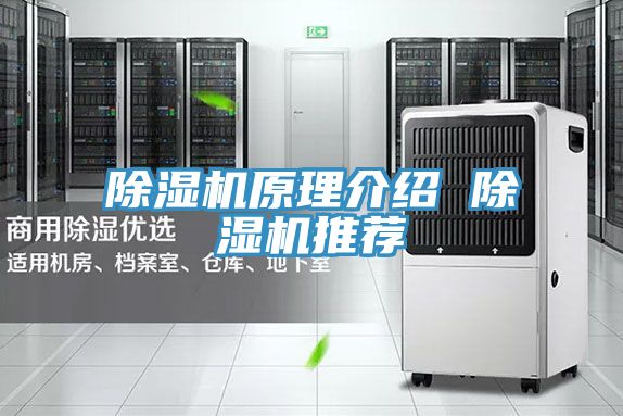 MR.好色破解版原理介绍 MR.好色破解版推荐