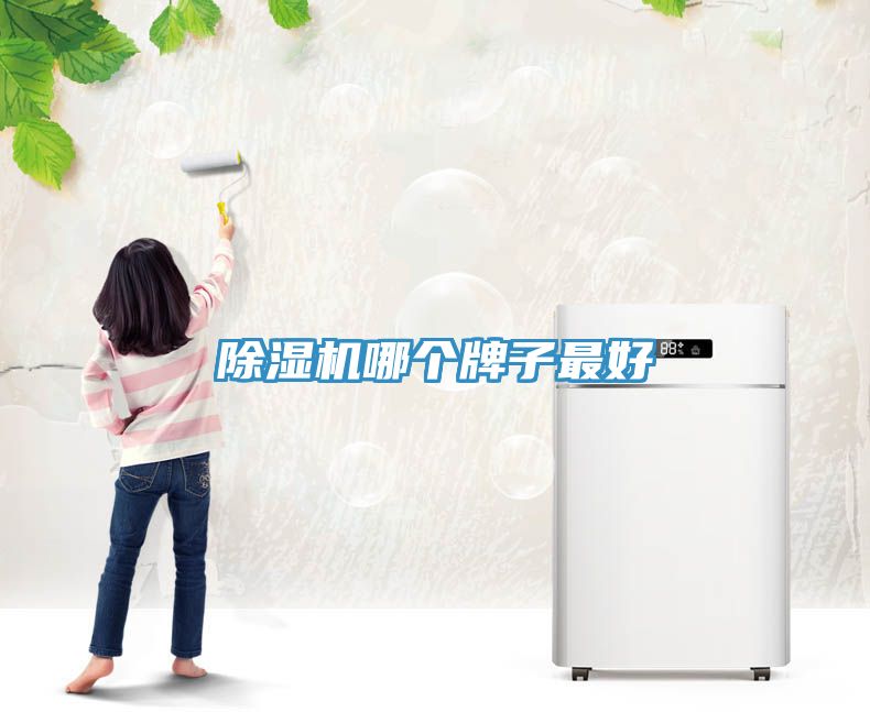 MR.好色破解版哪个牌子最好