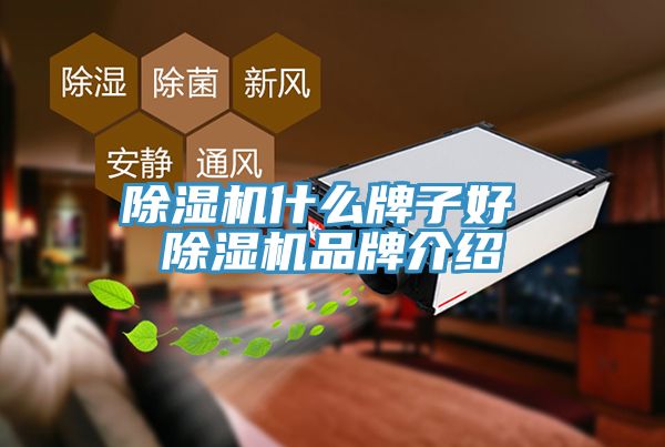 MR.好色破解版什么牌子好 MR.好色破解版品牌介绍