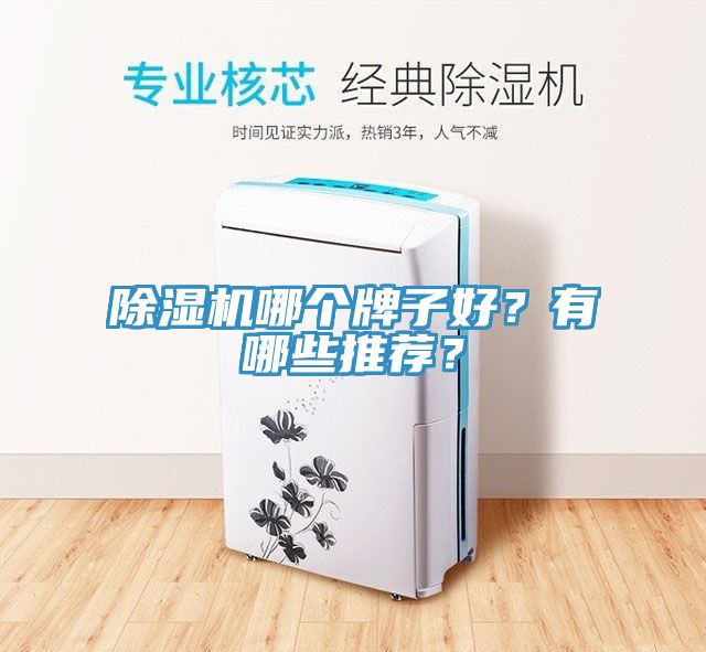 MR.好色破解版哪个牌子好？有哪些推荐？