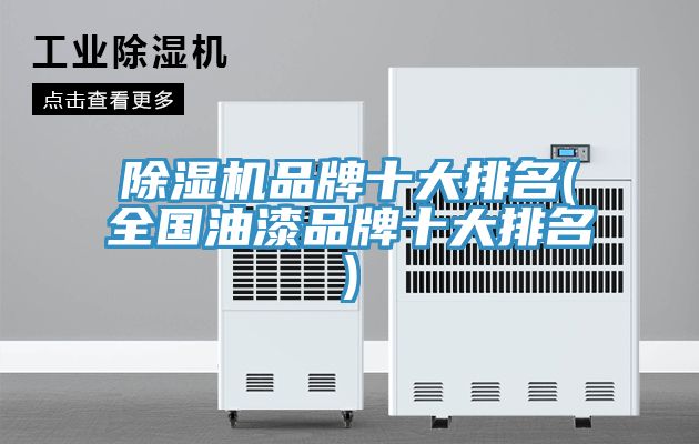 MR.好色破解版品牌十大排名(全国油漆品牌十大排名)