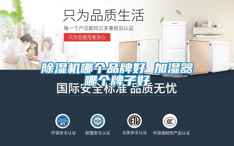 MR.好色破解版哪个品牌好 加湿器哪个牌子好