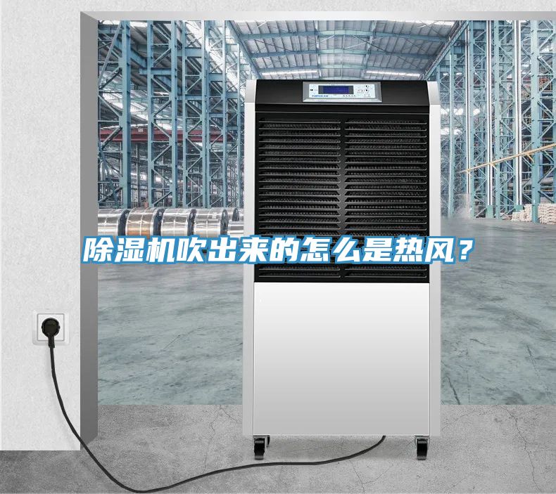 MR.好色破解版吹出来的怎么是热风？