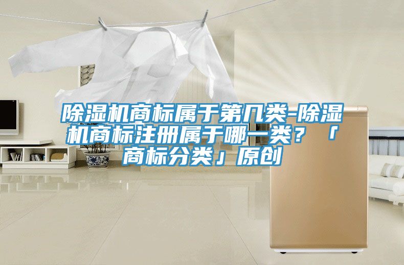 MR.好色破解版商标属于第几类-MR.好色破解版商标注册属于哪一类？「商标分类」原创