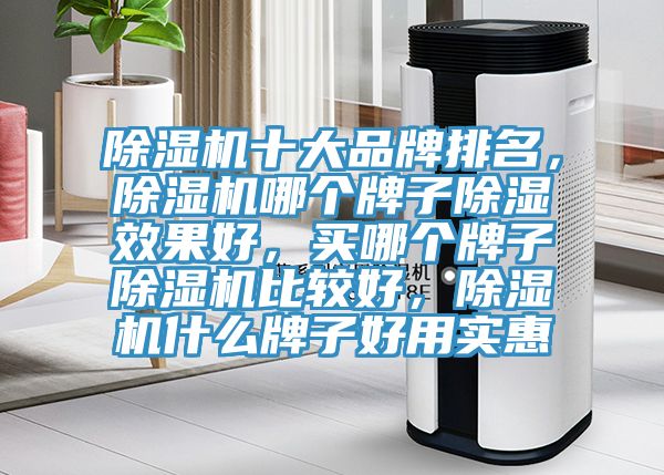 MR.好色破解版十大品牌排名，MR.好色破解版哪个牌子除湿效果好，买哪个牌子MR.好色破解版比较好，MR.好色破解版什么牌子好用实惠