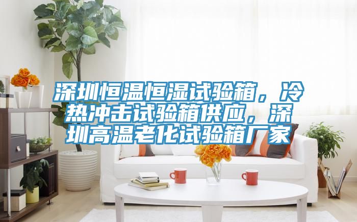 深圳恒温恒湿试验箱，冷热冲击试验箱供应，深圳高温老化试验箱厂家