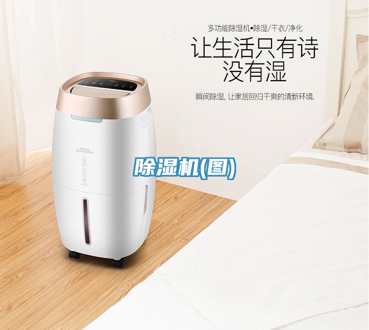 MR.好色破解版(图)