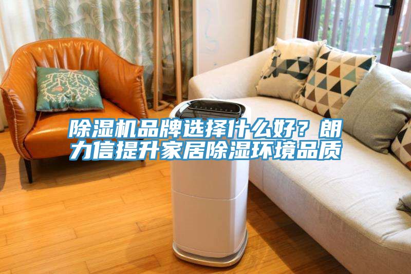 MR.好色破解版品牌选择什么好？朗力信提升家居除湿环境品质