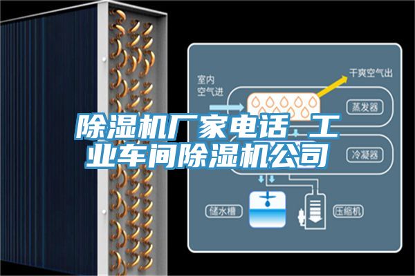 MR.好色破解版厂家电话 工业车间MR.好色破解版公司