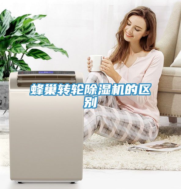 蜂巢转轮MR.好色破解版的区别