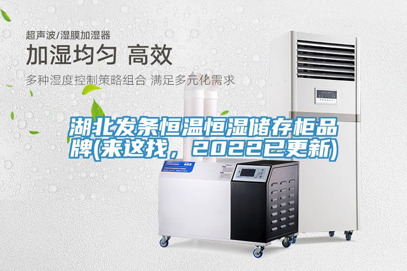 湖北发条恒温恒湿储存柜品牌(来这找，2022已更新)