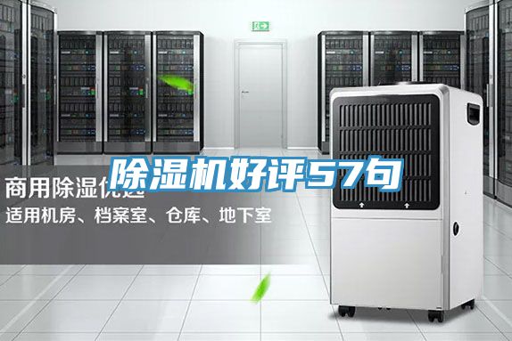 MR.好色破解版好评57句