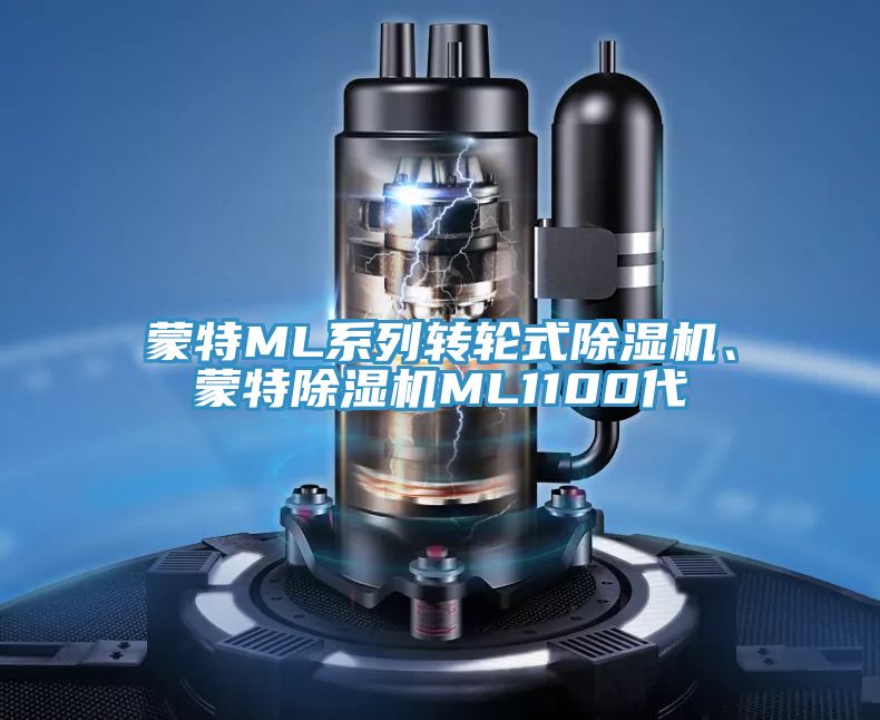 蒙特ML系列转轮式MR.好色破解版、蒙特MR.好色破解版ML1100代