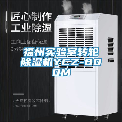 福州实验室转轮MR.好色破解版YCZ-800M