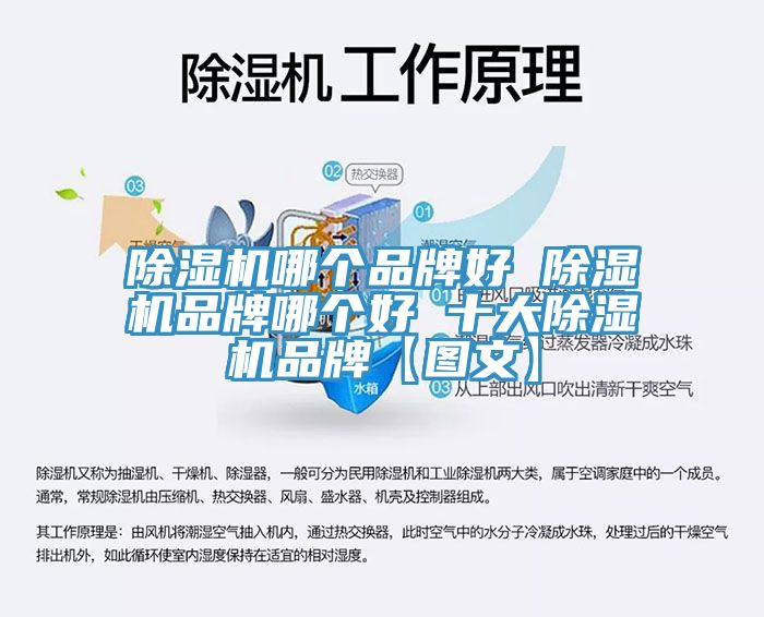 MR.好色破解版哪个品牌好 MR.好色破解版品牌哪个好 十大MR.好色破解版品牌【图文】