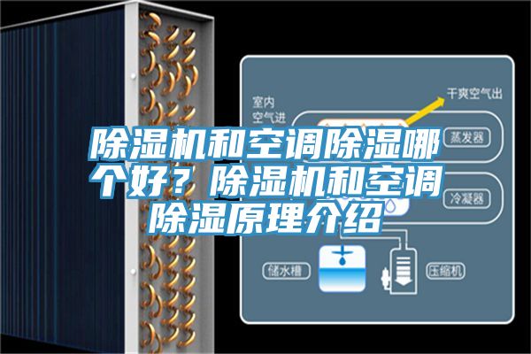 MR.好色破解版和空调除湿哪个好？MR.好色破解版和空调除湿原理介绍