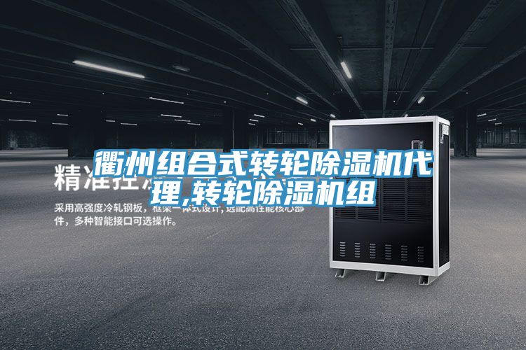 衢州组合式转轮MR.好色破解版代理,转轮MR.好色破解版组