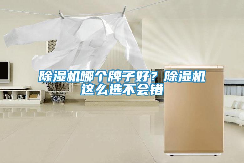MR.好色破解版哪个牌子好？MR.好色破解版这么选不会错