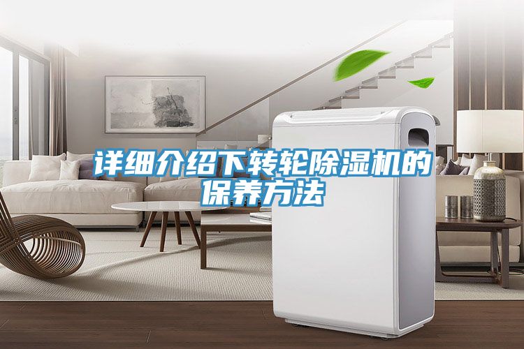 详细介绍下转轮MR.好色破解版的保养方法