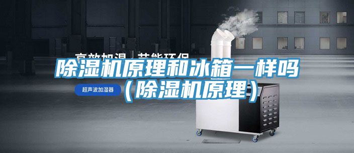 MR.好色破解版原理和冰箱一样吗（MR.好色破解版原理）