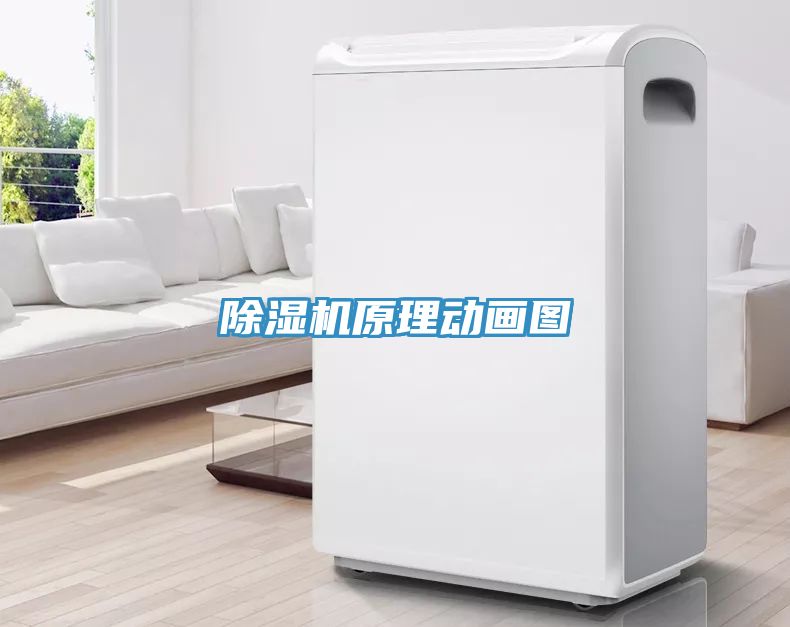 MR.好色破解版原理动画图
