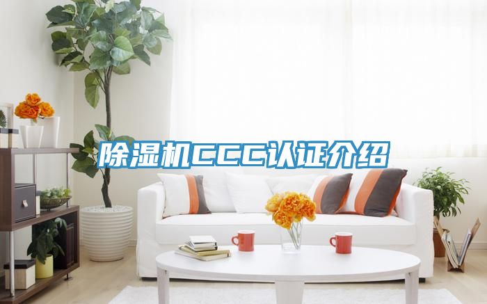 MR.好色破解版CCC认证介绍