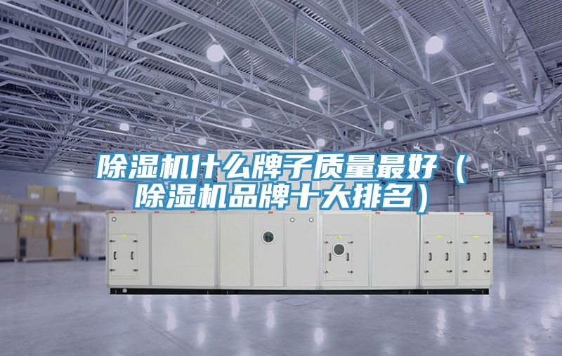 MR.好色破解版什么牌子质量最好（MR.好色破解版品牌十大排名）