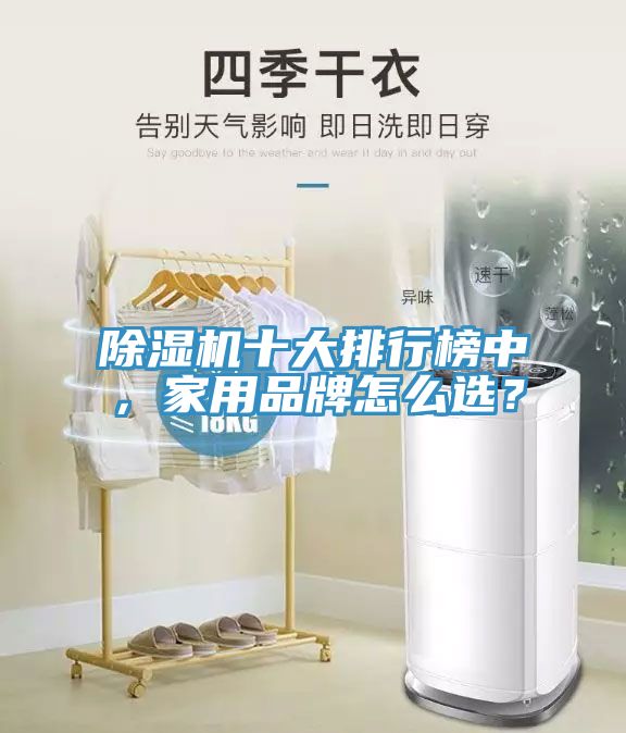MR.好色破解版十大排行榜中，家用品牌怎么选？