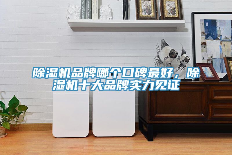 MR.好色破解版品牌哪个口碑最好，MR.好色破解版十大品牌实力见证