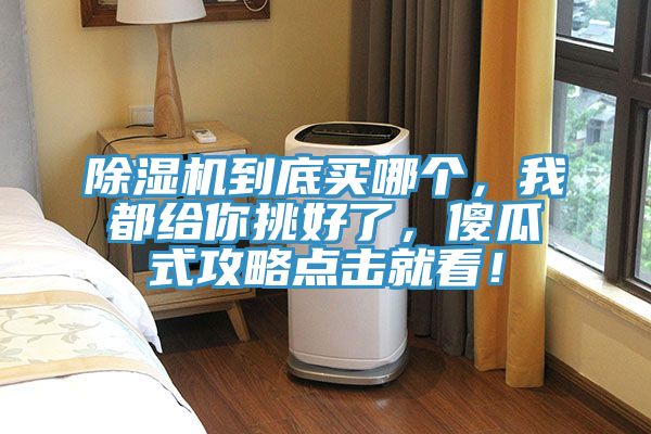 MR.好色破解版到底买哪个，我都给你挑好了，傻瓜式攻略点击就看！