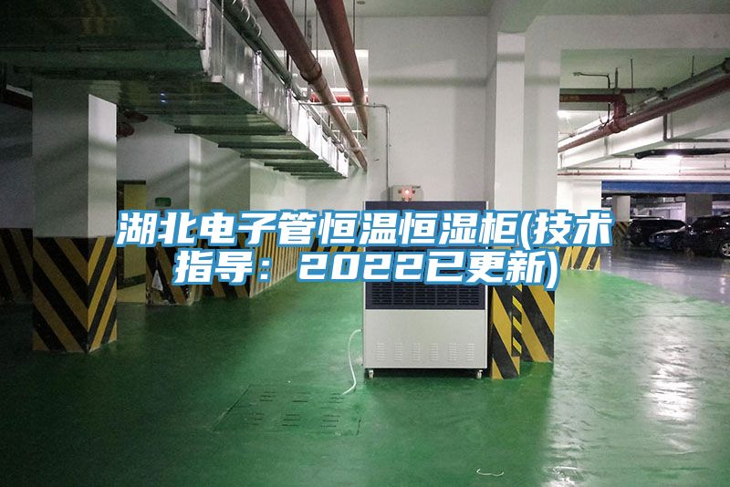 湖北电子管恒温恒湿柜(技术指导：2022已更新)