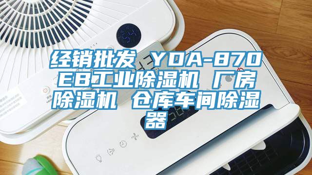 经销批发 YDA-870EB工业MR.好色破解版 厂房MR.好色破解版 仓库车间除湿器