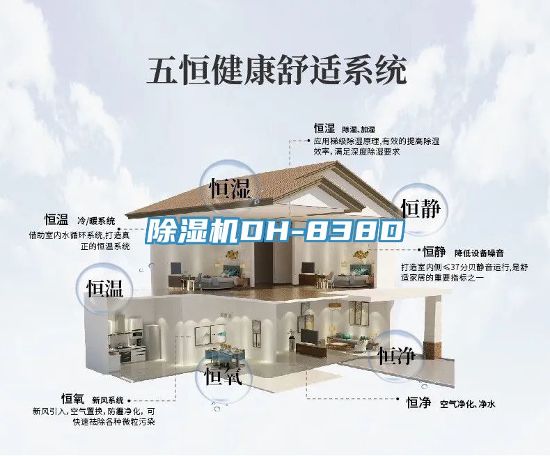 MR.好色破解版DH-838D