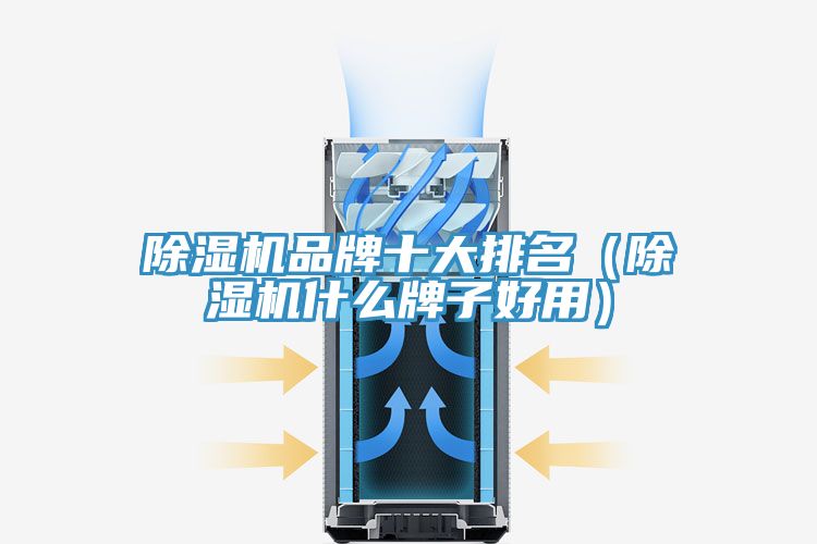 MR.好色破解版品牌十大排名（MR.好色破解版什么牌子好用）