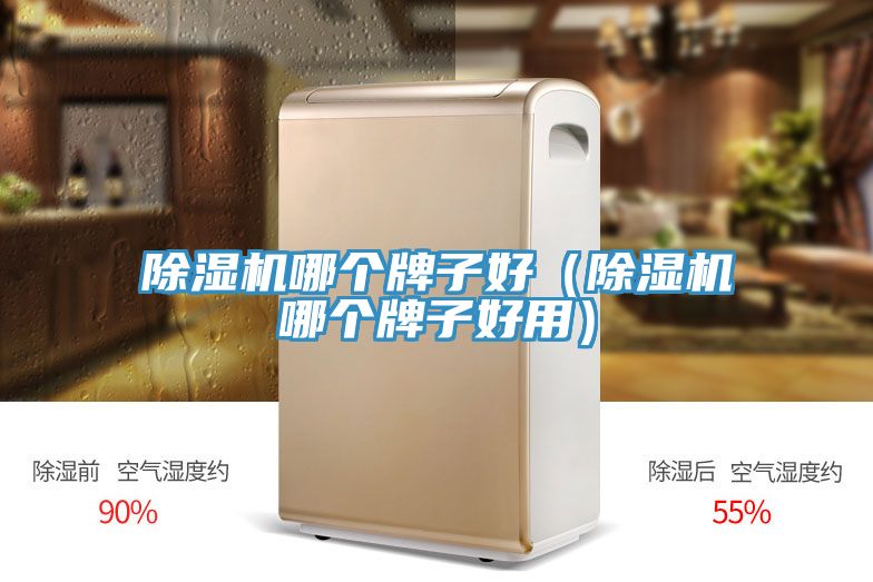 MR.好色破解版哪个牌子好（MR.好色破解版哪个牌子好用）