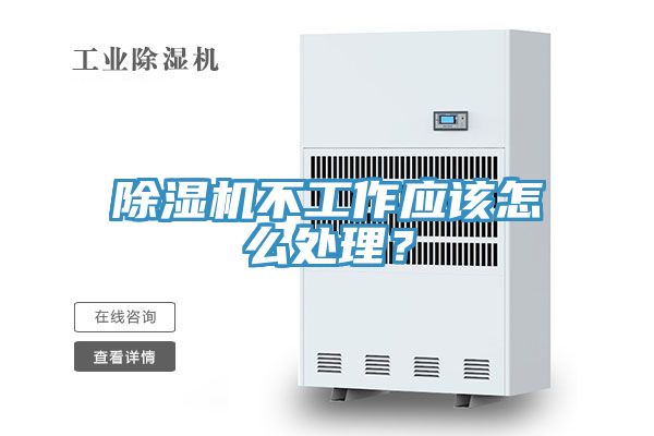 MR.好色破解版不工作应该怎么处理？