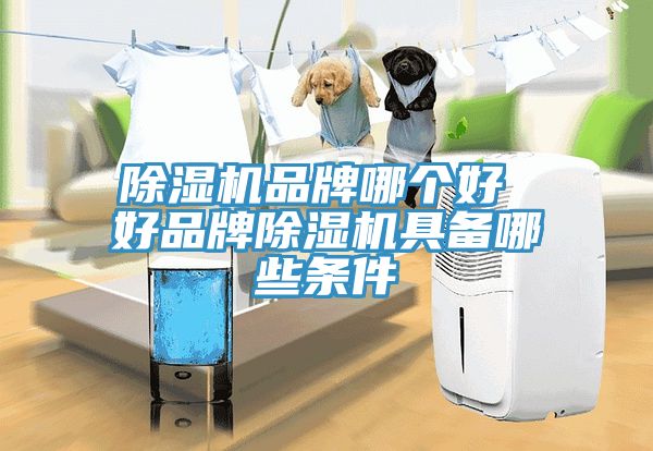 MR.好色破解版品牌哪个好 好品牌MR.好色破解版具备哪些条件