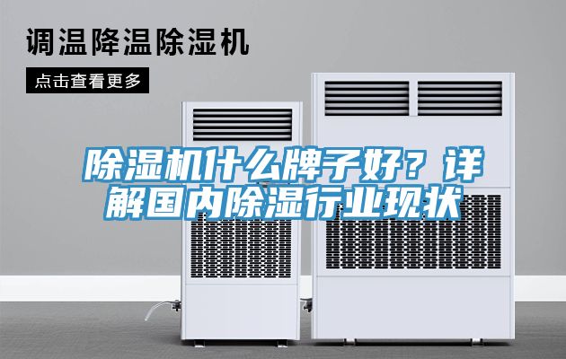 MR.好色破解版什么牌子好？详解国内除湿行业现状