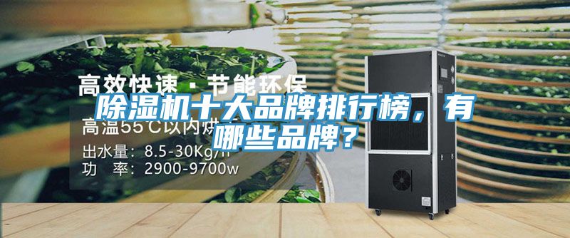 MR.好色破解版十大品牌排行榜，有哪些品牌？