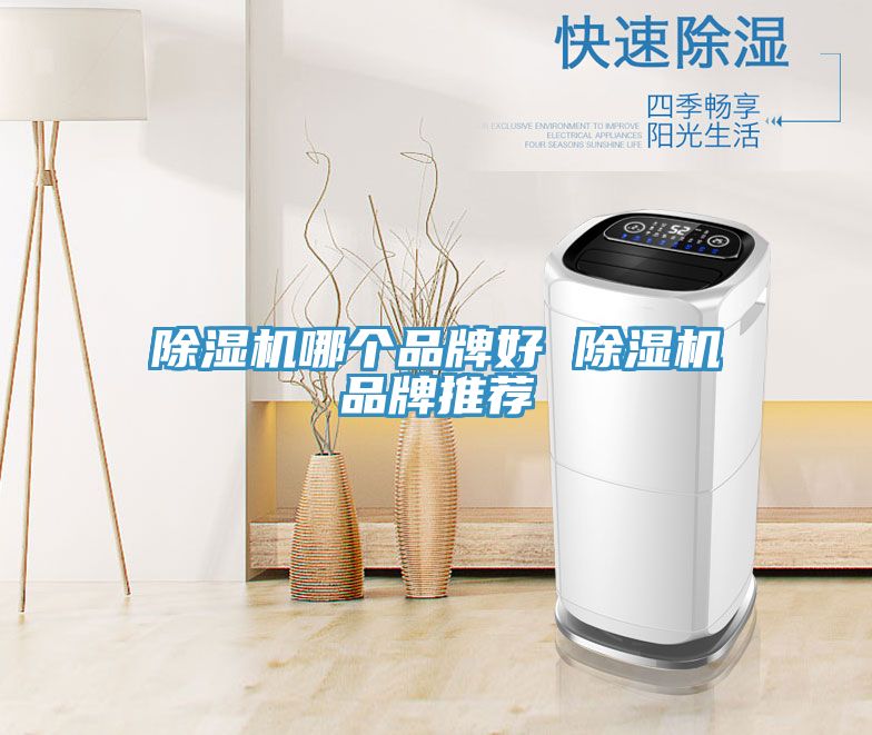 MR.好色破解版哪个品牌好 MR.好色破解版品牌推荐