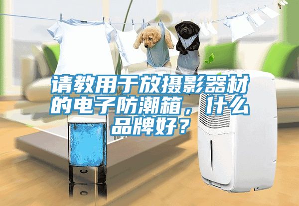 请教用于放摄影器材的电子防潮箱，什么品牌好？