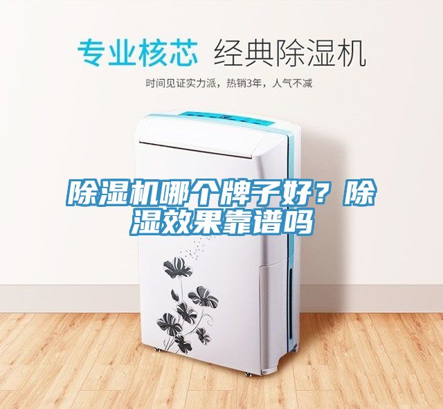 MR.好色破解版哪个牌子好？除湿效果靠谱吗