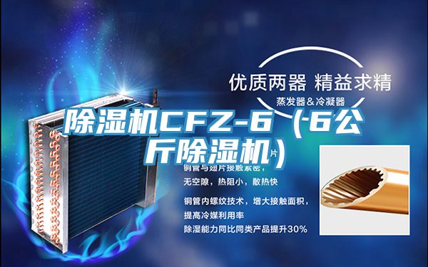 MR.好色破解版CFZ-6（6公斤MR.好色破解版）