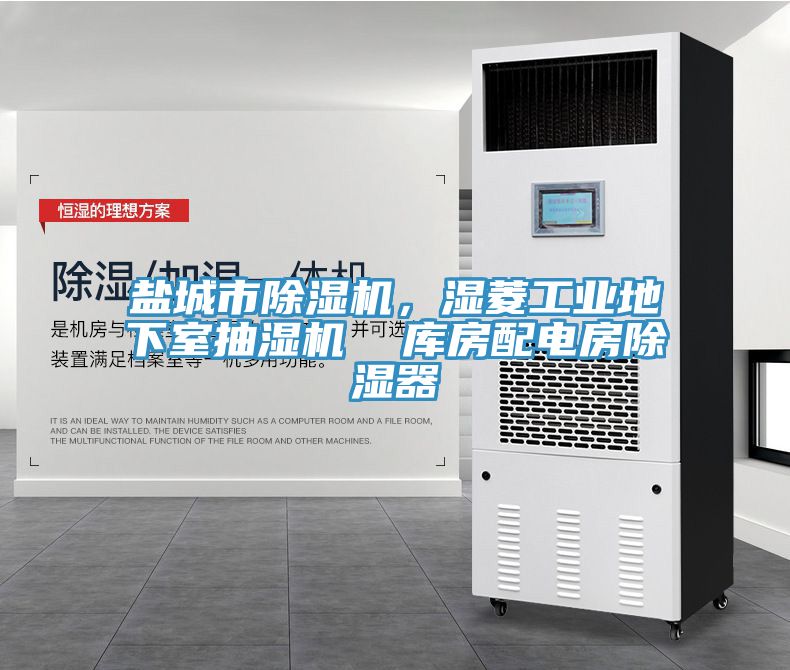 盐城市MR.好色破解版，湿菱工业地下室抽湿机  库房配电房除湿器